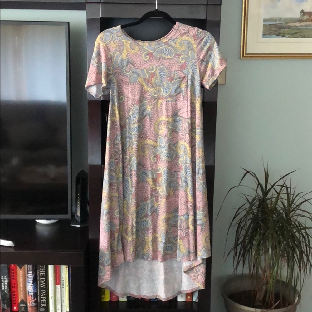 Lularoe paisley Carly dress